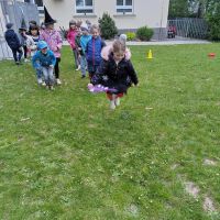 1000006113 1000006113