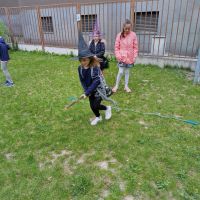 1000006133 (1) 1000006133 (1)