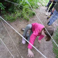 1000006154 1000006154