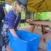 1000006166 1000006166