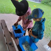 1000006177 1000006177