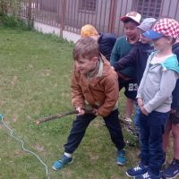 1000006358 1000006358