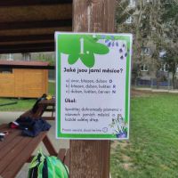 431923880_966231581556443_7717020928759533838_n