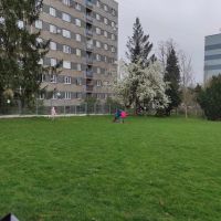 433149962_440372028649999_8090716214863823603_n 433149962_440372028649999_8090716214863823603_n