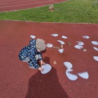 IMG_20240322_121205_HDR