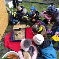 IMG_20240322_124337_HDR IMG_20240322_124337_HDR