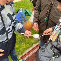 IMG-20240322-WA0019 IMG-20240322-WA0019