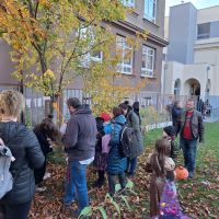 pro-8o2nOcJm pro-8o2nOcJm